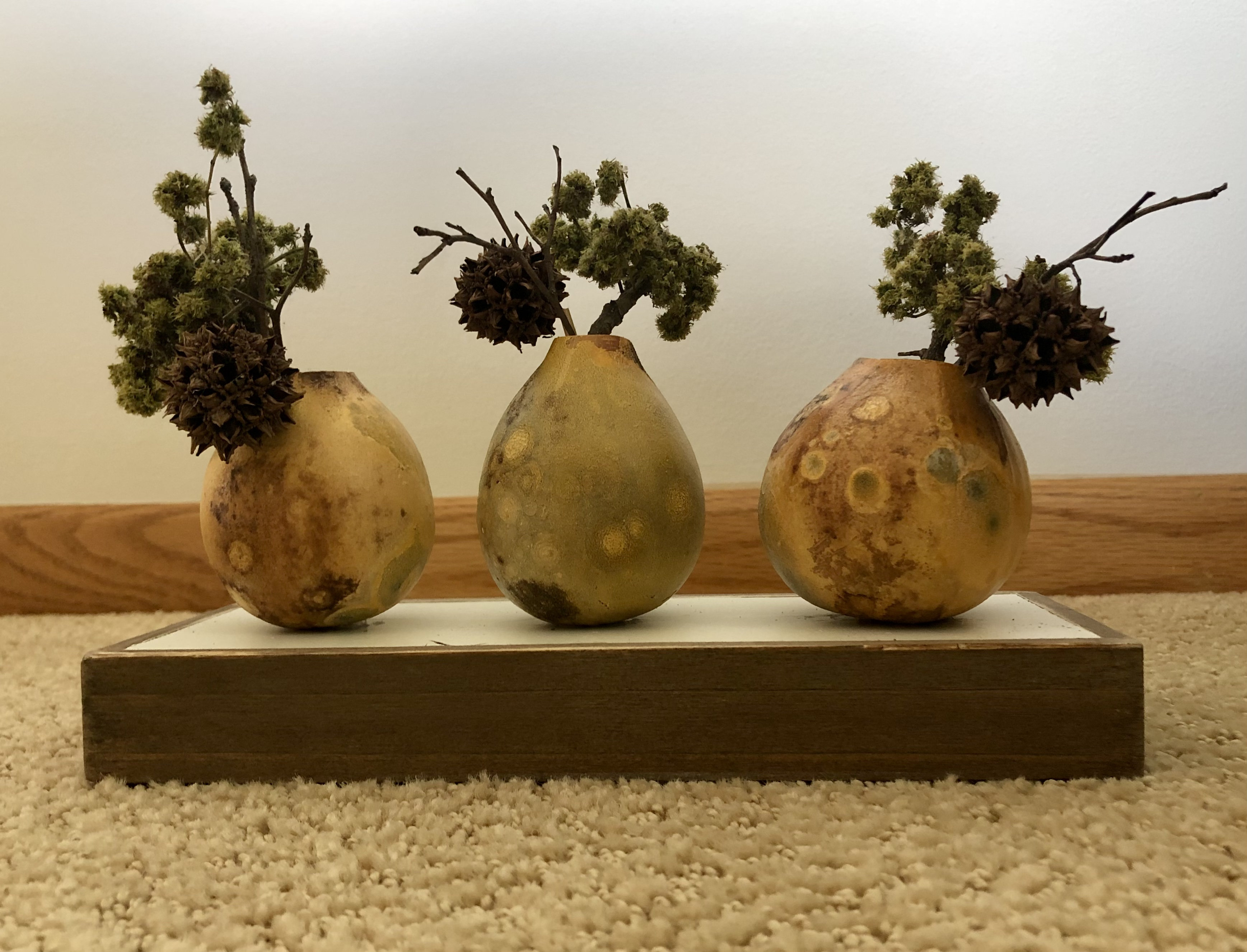 [Lori Brandt Anderson Gourd Art image]